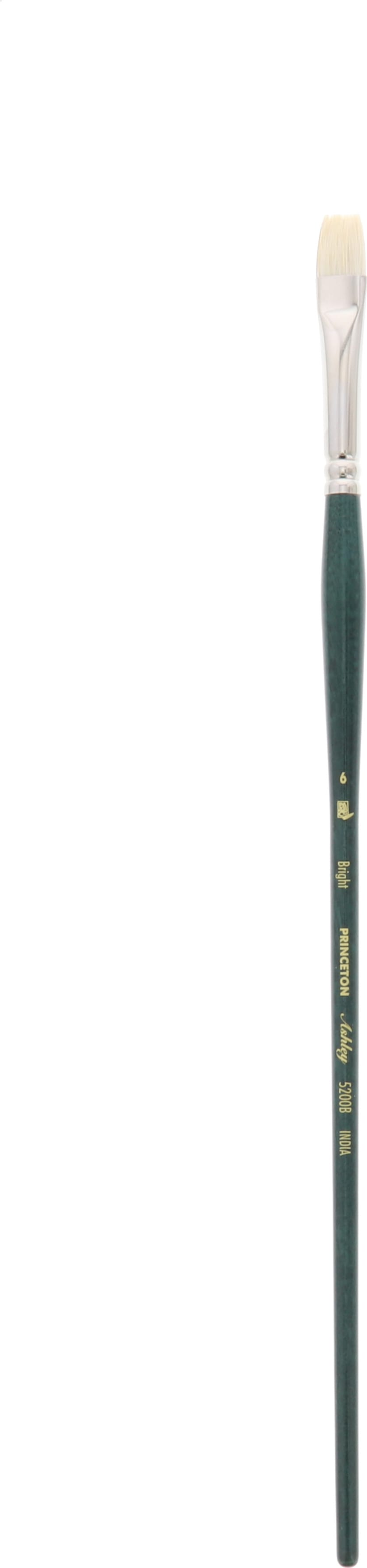 ASHLEY CHINESE BRISTLE BRUSH BRIGHT 6