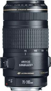 Canon EF 70-300 Lens - ONLINE ONLY