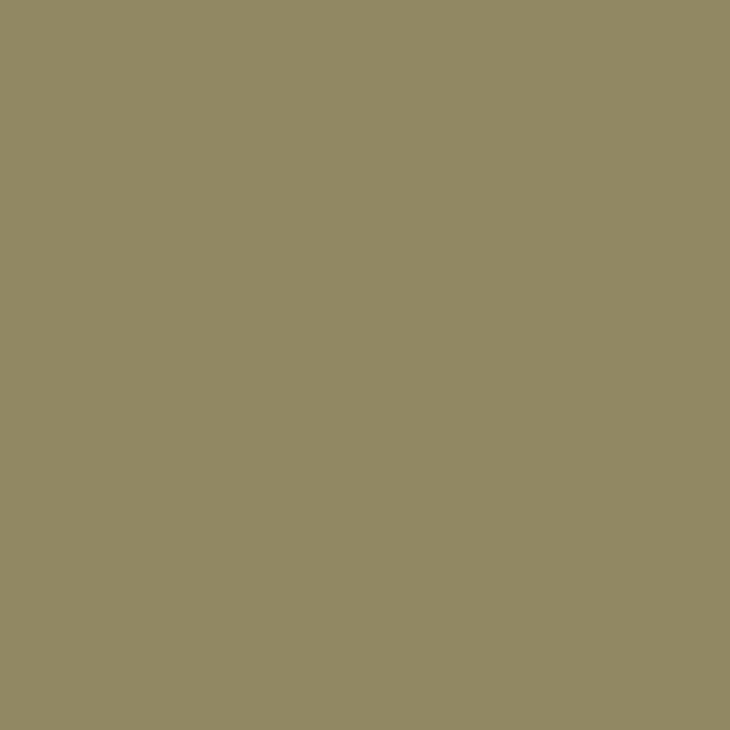 MI-TEINTES 191 OLIVE GREEN 8.5X11