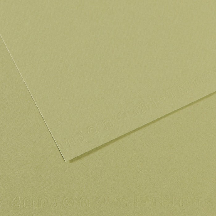 MI-TEINTES 480 LIGHT GREEN 19X25