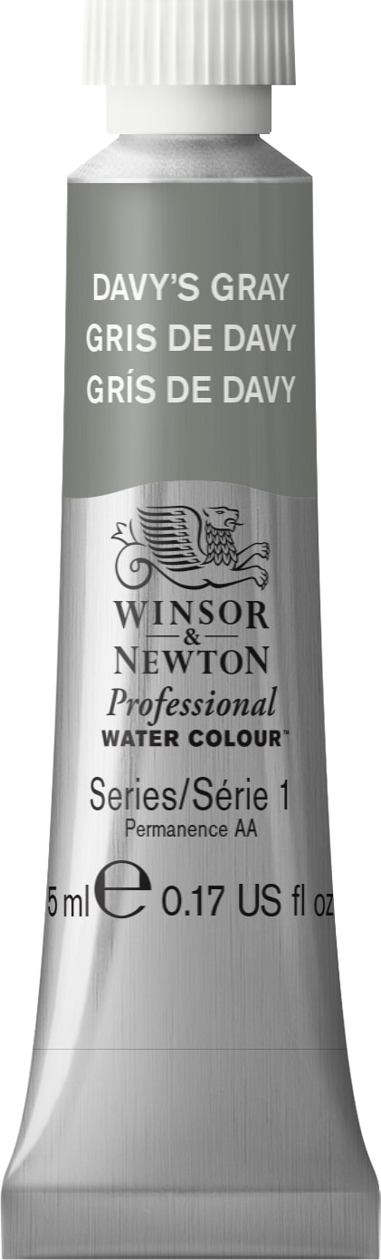 Professional Watercolor 5mL Davy Gray