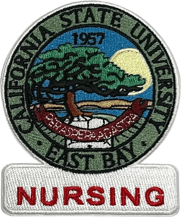 CALIFORNIA STATE NURSING PATCH
