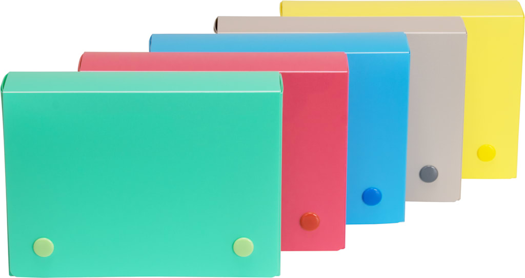 POLY INDX CARD CASE 4X6 ASST