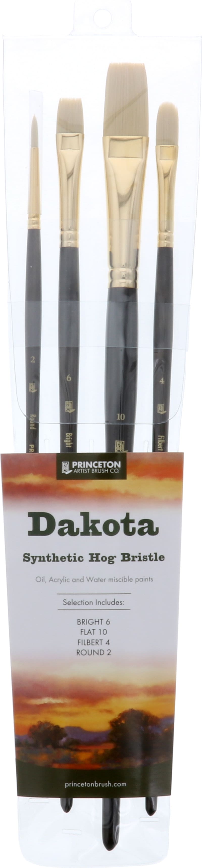 PROFESSIONAL BRUSH SET DAKOTA 4-PACK