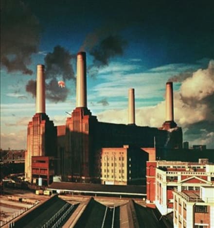 ANIMALS