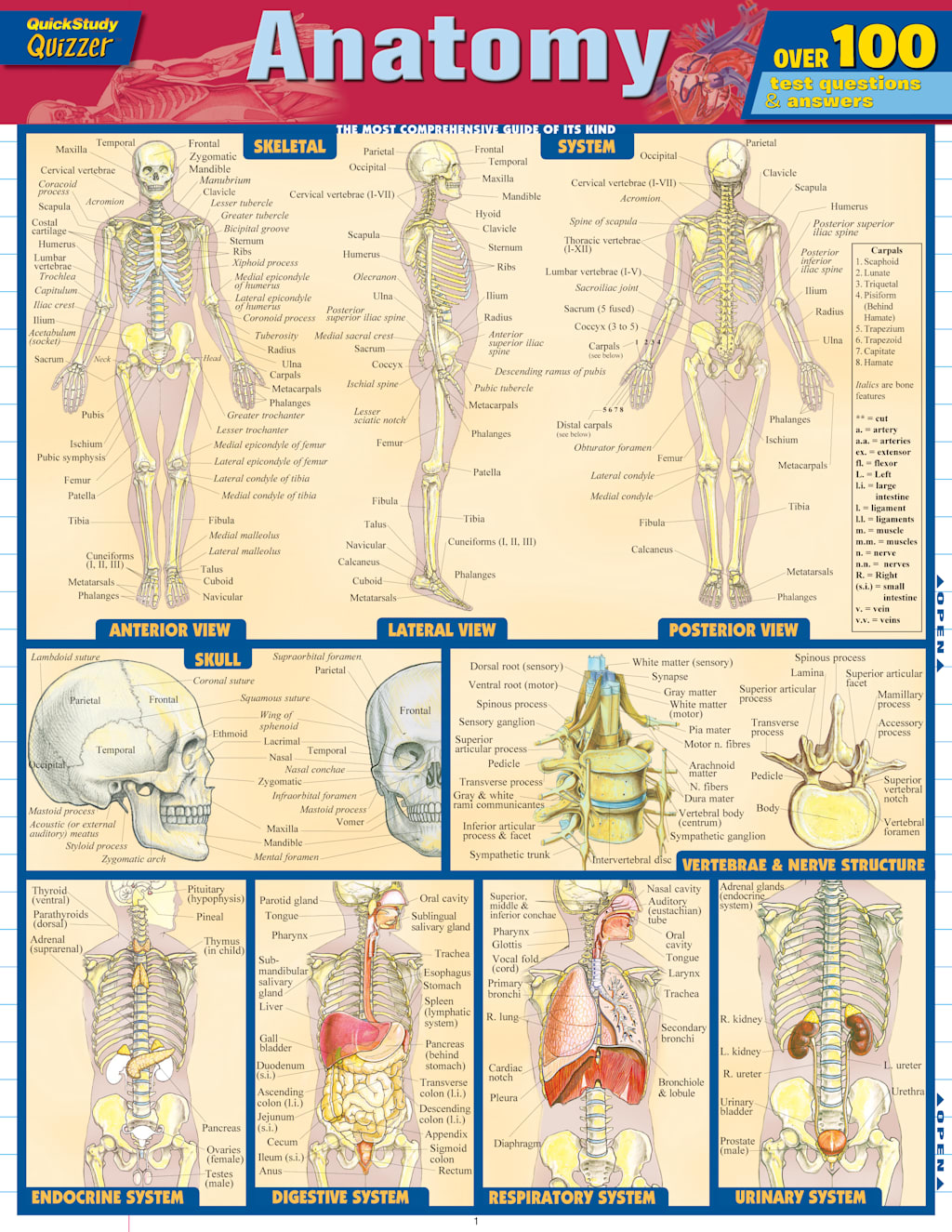 ANATOMY QUIZZER
