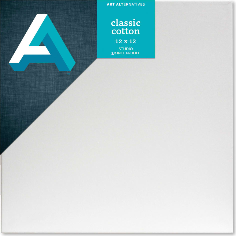 CANVAS STUDIO 12X12