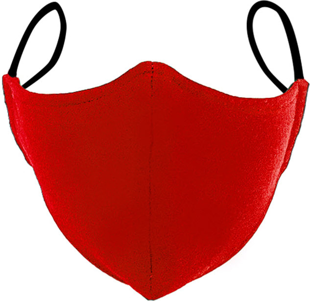Curry College Protective Face Mask 2 Pack