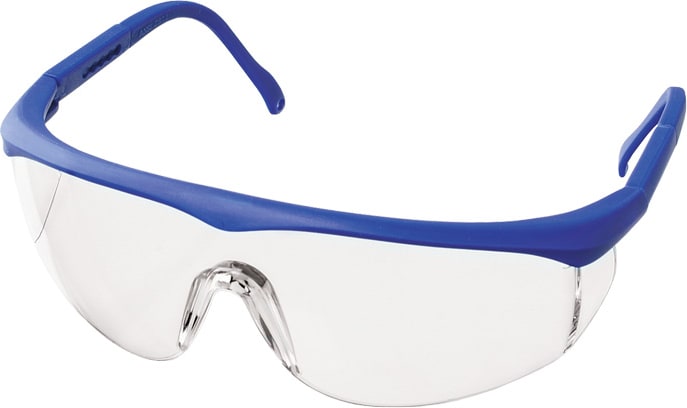 HEALTHMATE ADJ. EYEWEAR - ROY