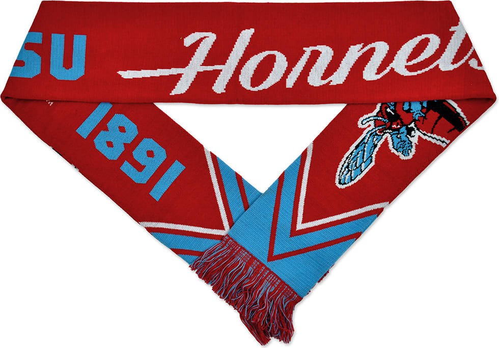 Delaware State University Scarf