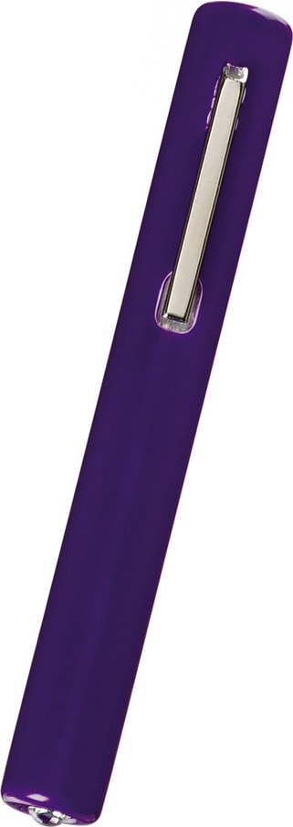 STANDARD DISPOSABLE PENLIGHT-WHTIE
