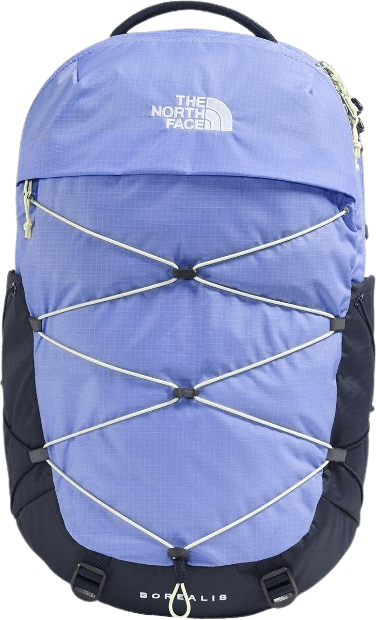 The North Face Borealis Backpack