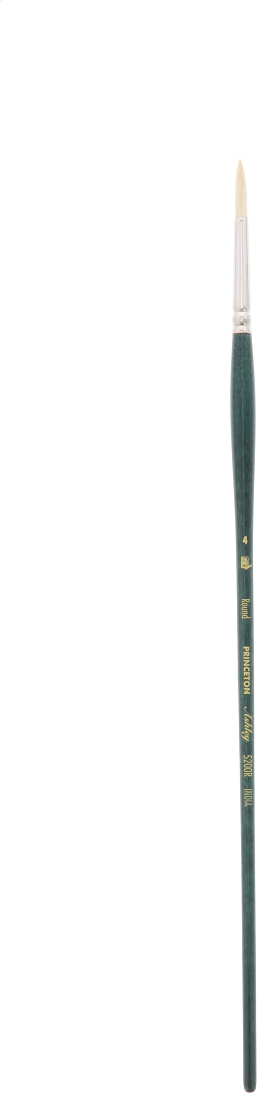 ASHLEY CHINESE BRISTLE BRUSH ROUND 4