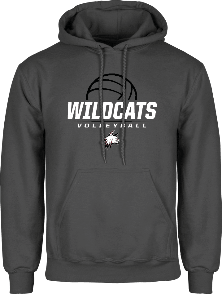 Bay Path Fleece Hoodie Volleyball Ball - ONLINE ONLY