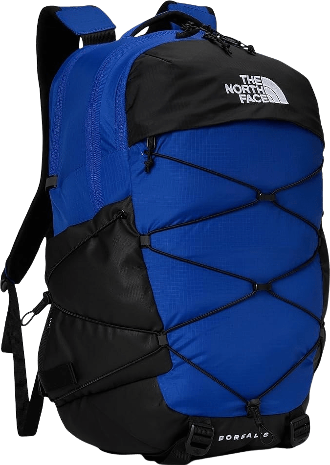 The North Face Borealis Backpack