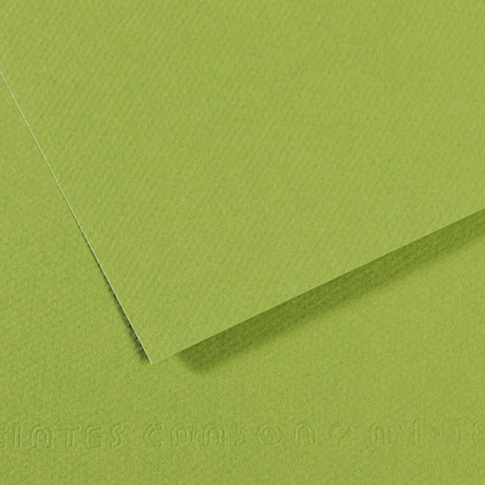 MI-TEINTES 475 DARK GREEN 19X25