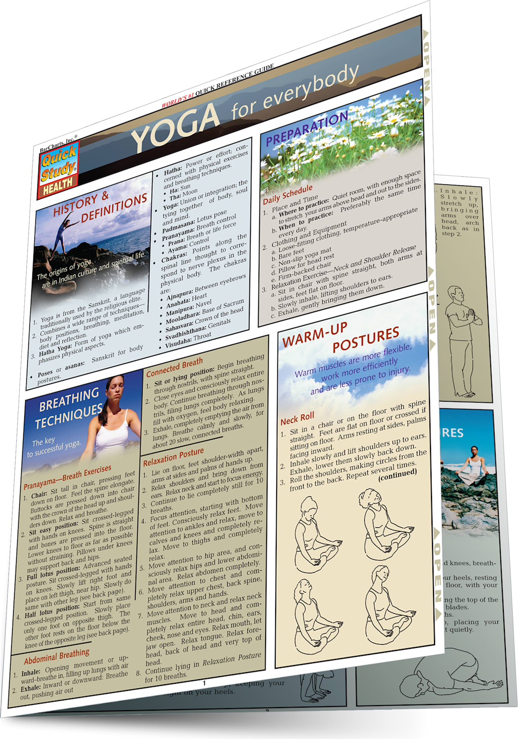 YOGA FOR EVERYBODY