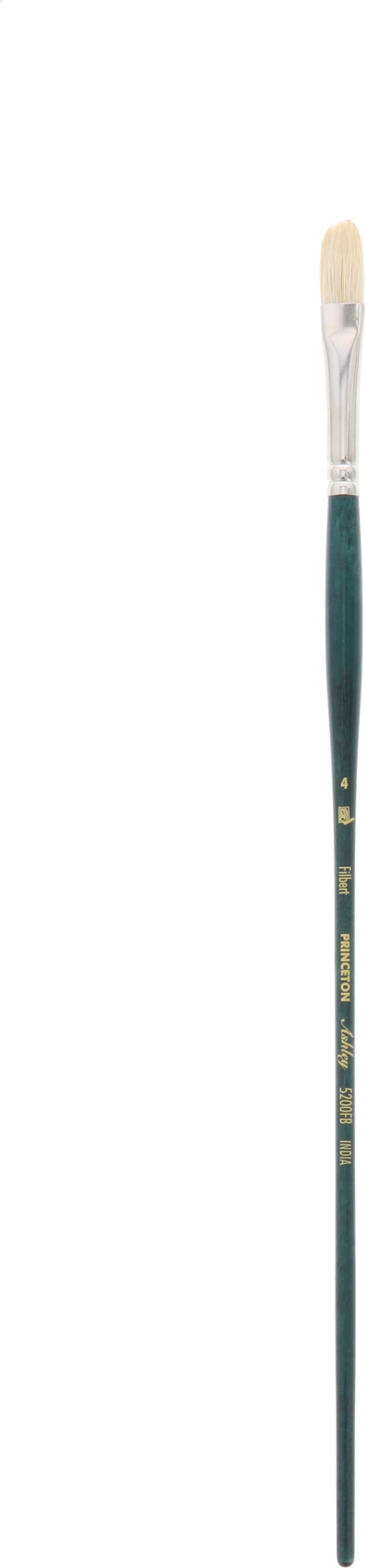 ASHLEY CHINESE BRISTLE FILBERT 4