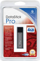 4GB DataStick Pro Flash Drive