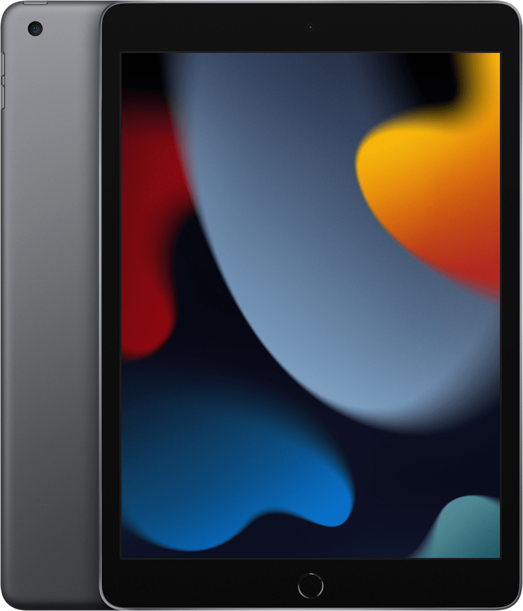 IPAD 10.2 9TH WFCEL 256GB SPC