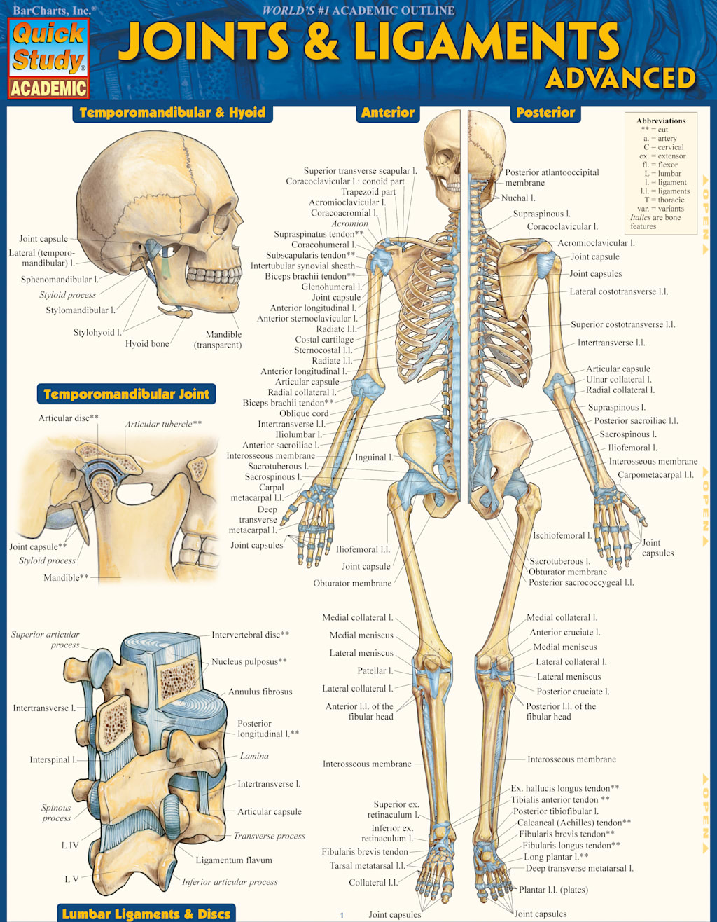 JOINTS & LIGAMENTS ADVANCED