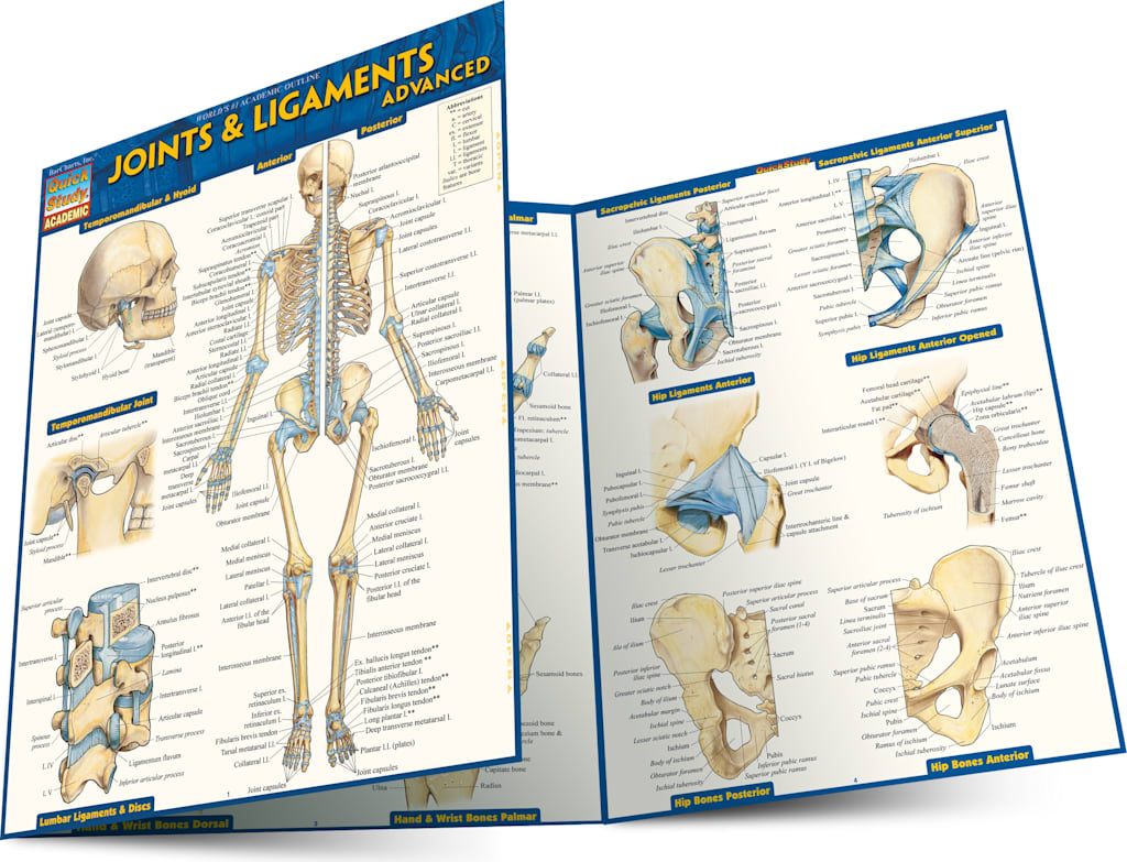 JOINTS & LIGAMENTS ADVANCED