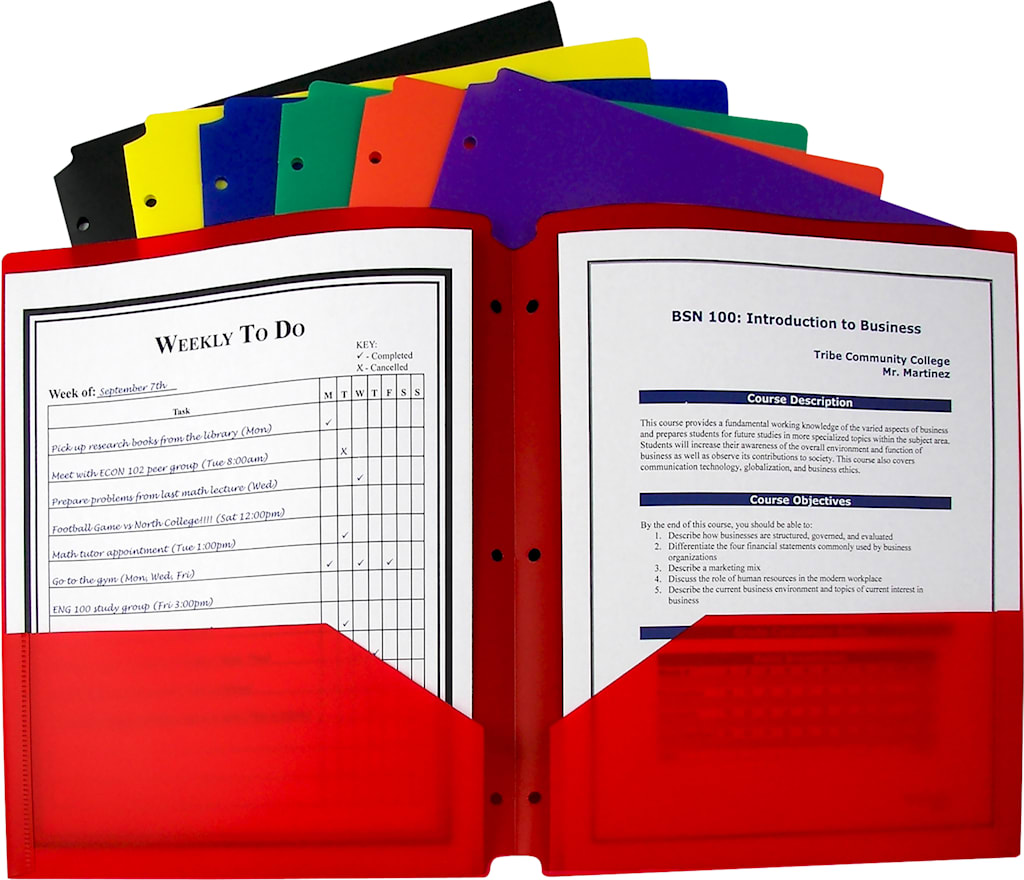 PORTFOLIO POLY 2 POCKET 3 HOLE