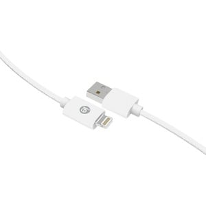10FT BRAID USB LIGHT CABLE WHT - ONLINE ONLY