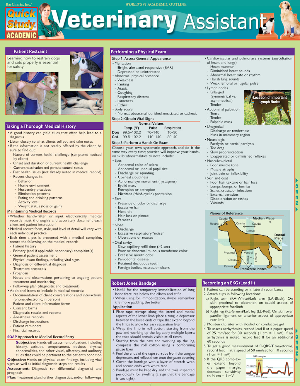 Veterinary Assistant