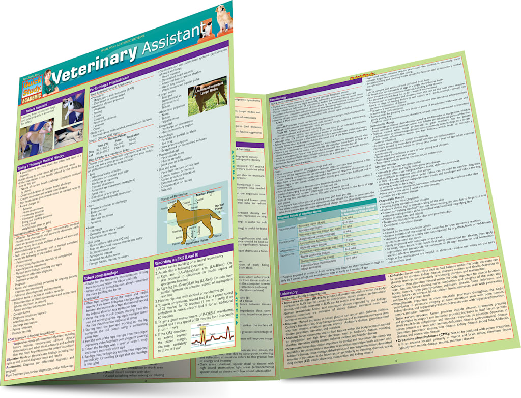 Veterinary Assistant