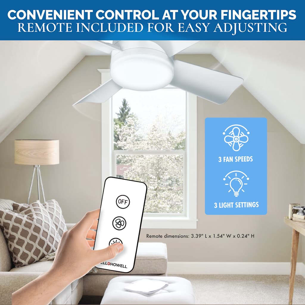 Socket FanLight