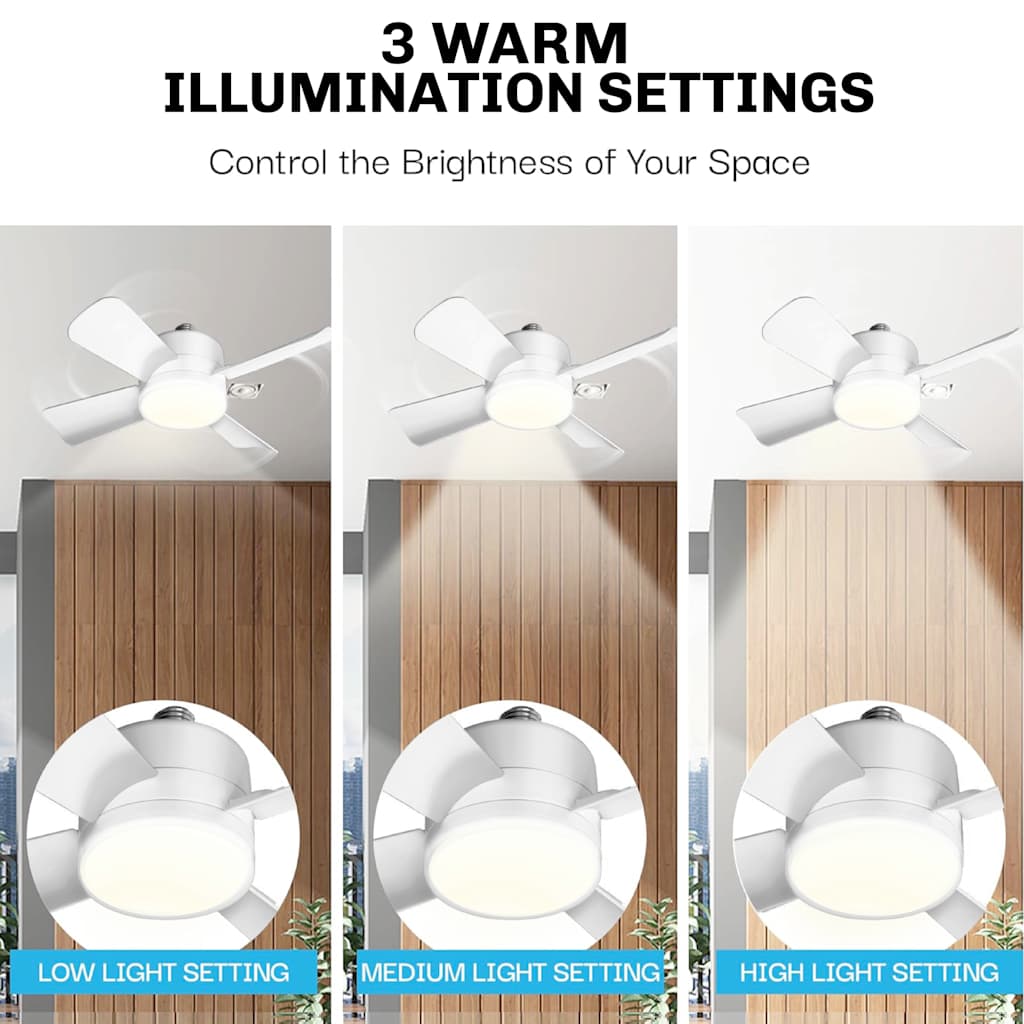 Socket Fanlight Warm Light