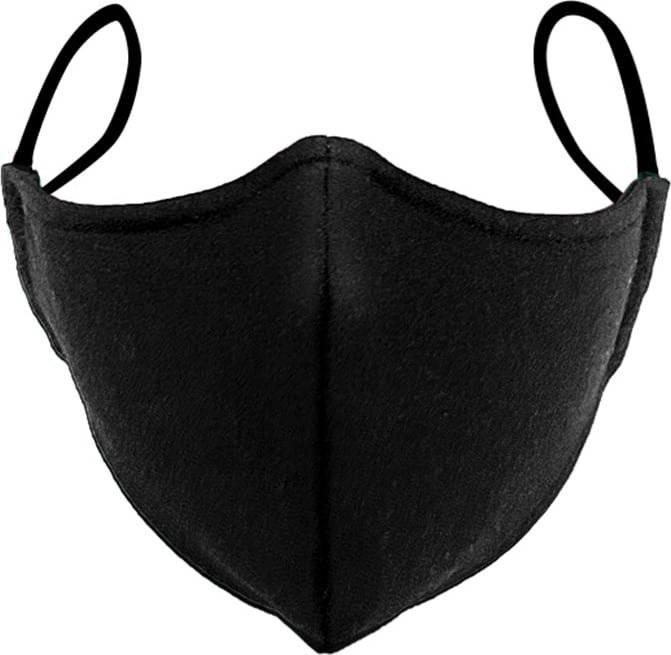 Curry College Protective Face Mask