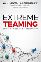 Extreme Teaming : Lessons in Complex, Cross-Sector Leadership