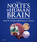 Nolte's The Human Brain E-Book : Nolte's The Human Brain E-Book