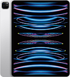 12.9-INCH IPAD PRO WI?FI 256GB - SILVER- ONLINE ONLY