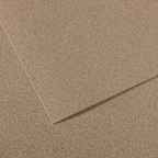 MI-TEINTES 429 FELT GRAY 8.5X11