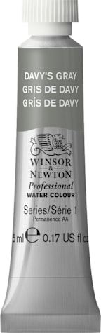 Professional Watercolor 5mL Davy Gray