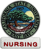 CALIFORNIA STATE NURSING PATCH
