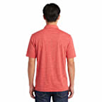 University of Cincinnati Polo
