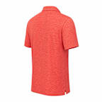 University of Cincinnati Polo
