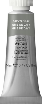 Professional Watercolor 14mL Davy Gray