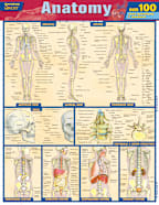 ANATOMY QUIZZER