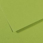 MI-TEINTES 475 GREEN 8.5X11