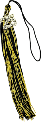 Tassel Bling