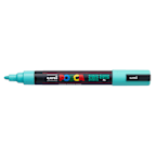 P MARK 5M MED AQUA GREEN