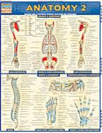 ANATOMY 2