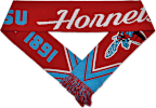 Delaware State University Scarf