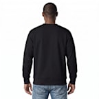 Delaware State University Hornets Crewneck