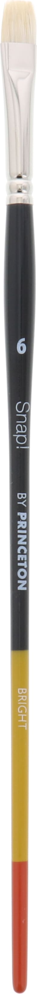 SNAP BRISTLE BRIGHT 6 LONG HANDLE